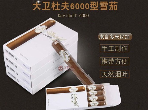 大衛杜夫6000